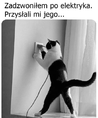 Śmieszny kot udaje elektryka